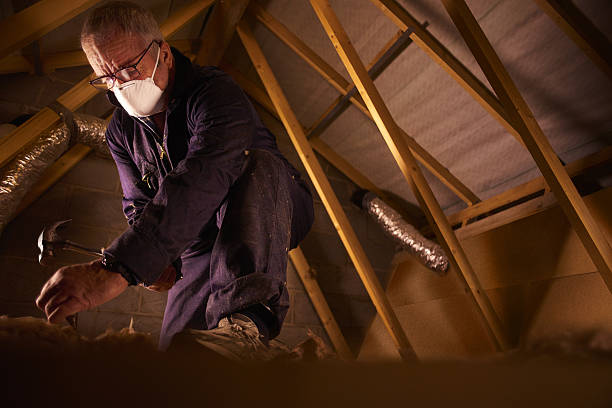 Best Insulation Maintenance and Repair in Fillmore, UT